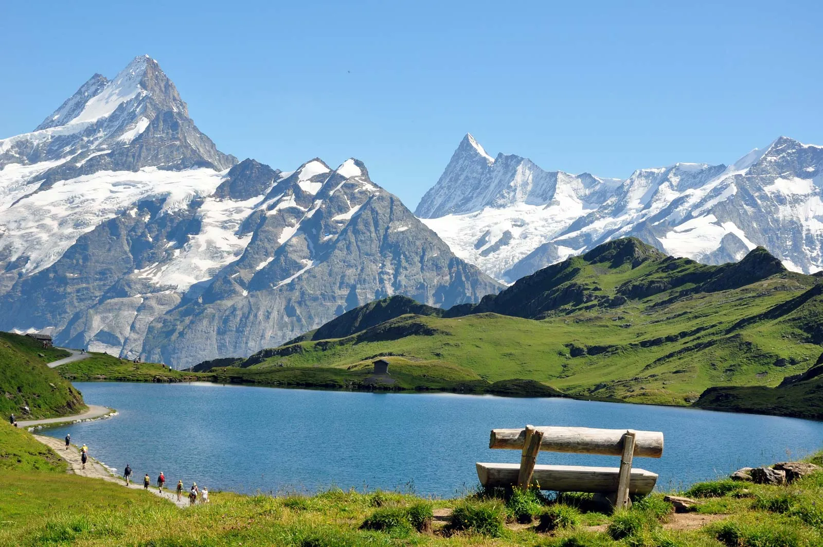 Love in the Alps - Image 3